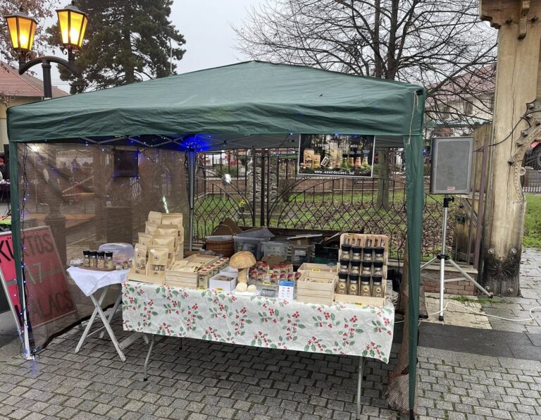 Gyermekek ligete és termelői piac